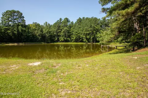 1077 Lawrence Ebenezer Rd, Lawrence, MS 39336 photo 35