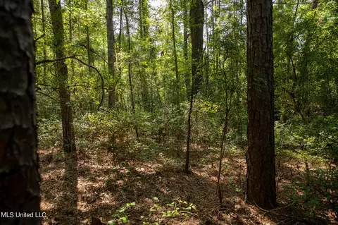 1077 Lawrence Ebenezer Rd, Lawrence, MS 39336 photo 40