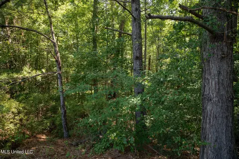 1077 Lawrence Ebenezer Rd, Lawrence, MS 39336 photo 41