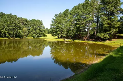 1077 Lawrence Ebenezer Rd, Lawrence, MS 39336 photo 42