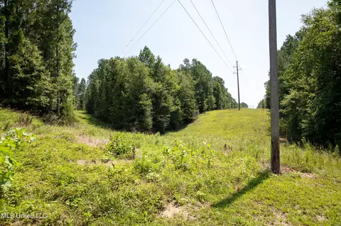 1077 Lawrence Ebenezer Rd, Lawrence, MS 39336 photo 114