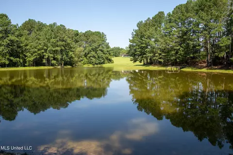 1077 Lawrence Ebenezer Rd, Lawrence, MS 39336 photo 39