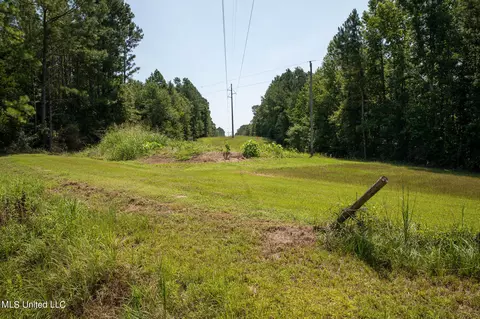 1077 Lawrence Ebenezer Rd, Lawrence, MS 39336 photo 112