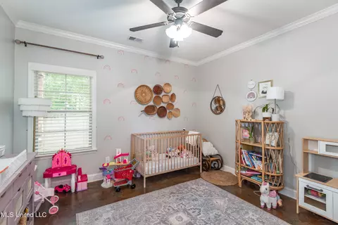 1770 Robertson Place Dr, Hernando, MS 38632 photo 13