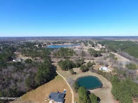 Glenfield Road Road, Canton, MS 39046 photo 15