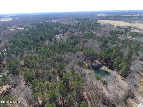 Glenfield Road Road, Canton, MS 39046 photo 7