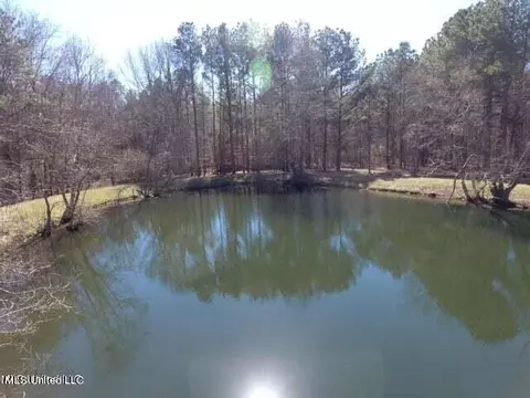 Glenfield Road Road, Canton, MS 39046 photo 11