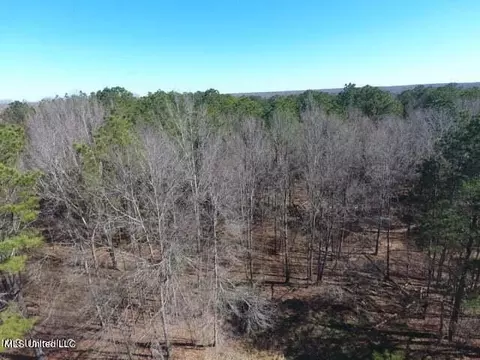 Glenfield Road Road, Canton, MS 39046 photo 14