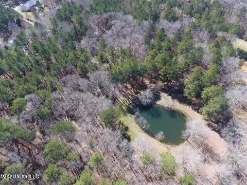 Glenfield Road Road, Canton, MS 39046 photo 8