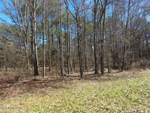 Glenfield Road Road, Canton, MS 39046 photo 12
