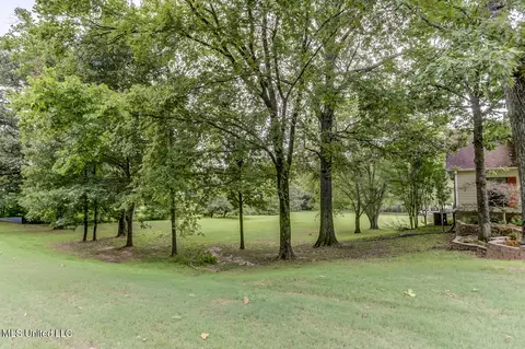 1136 Double Shovel Dr, Hernando, MS 38632 photo 2