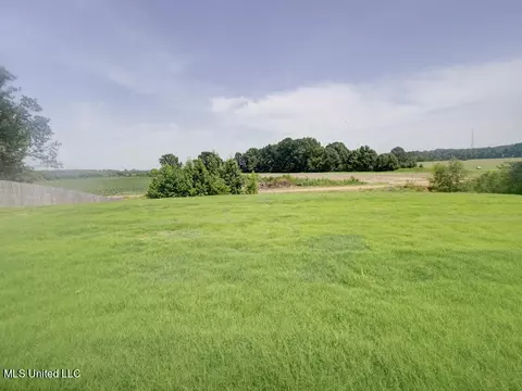 2996 Fossil Hill Dr, Hernando, MS 38632 photo 33