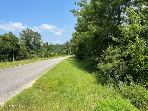 Jim Walker Rd Road, Waynesboro, MS 39367 photo 8