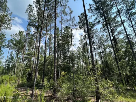 Jim Walker Rd Road, Waynesboro, MS 39367 photo 5