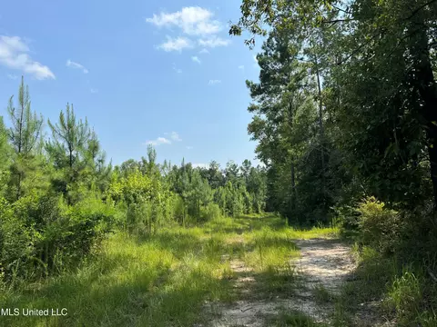 Jim Walker Rd Road, Waynesboro, MS 39367 photo 2