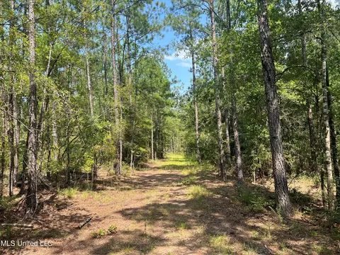 Jim Walker Rd Road, Waynesboro, MS 39367 photo 4