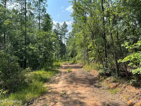 Jim Walker Rd Road, Waynesboro, MS 39367 photo 7