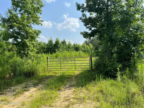Jim Walker Rd Road, Waynesboro, MS 39367