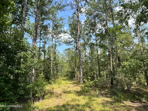 Jim Walker Rd Road, Waynesboro, MS 39367 photo 6