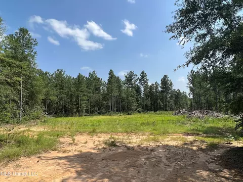 Jim Walker Rd Road, Waynesboro, MS 39367 photo 3