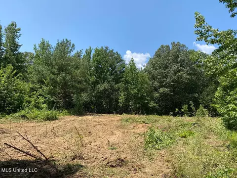 Tate Marshall Road, Coldwater, MS 38618 photo 12