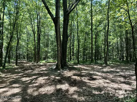 Tate Marshall Road, Coldwater, MS 38618 photo 8