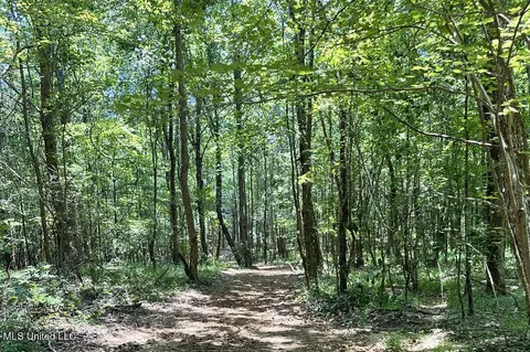 Tate Marshall Road, Coldwater, MS 38618 photo 9