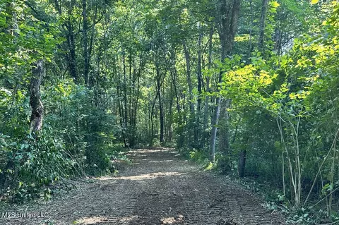 Tate Marshall Road, Coldwater, MS 38618 photo 6