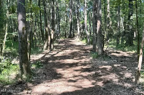 Tate Marshall Road, Coldwater, MS 38618