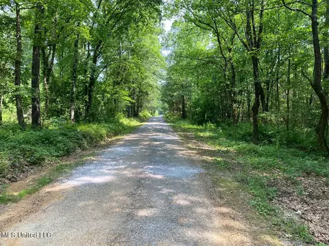 Tate Marshall Road, Coldwater, MS 38618 photo 4