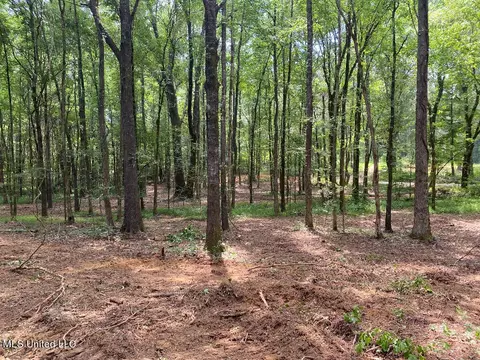 Tate Marshall Road, Coldwater, MS 38618 photo 19