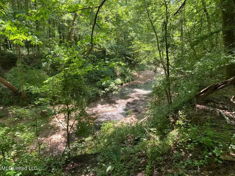 Tate Marshall Road, Coldwater, MS 38618 photo 3