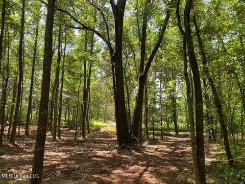 Tate Marshall Road, Coldwater, MS 38618 photo 2
