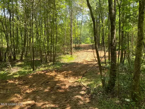 Tate Marshall Road, Coldwater, MS 38618 photo 13