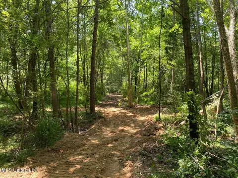 Tate Marshall Road, Coldwater, MS 38618 photo 17