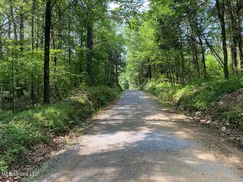 Tate Marshall Road, Coldwater, MS 38618 photo 11