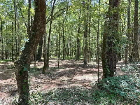 Tate Marshall Road, Coldwater, MS 38618 photo 10
