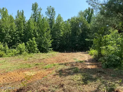 Tate Marshall Road, Coldwater, MS 38618 photo 16