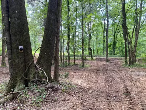 Tate Marshall Road, Coldwater, MS 38618 photo 14