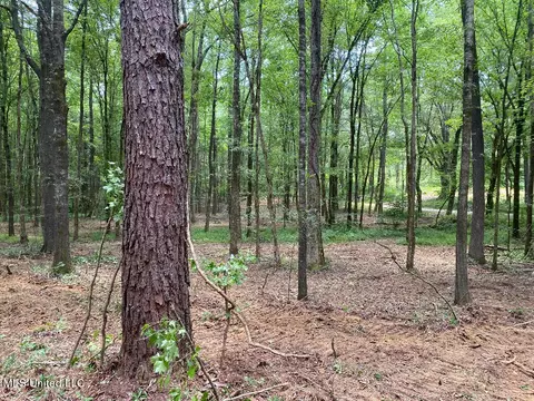 Tate Marshall Road, Coldwater, MS 38618 photo 18