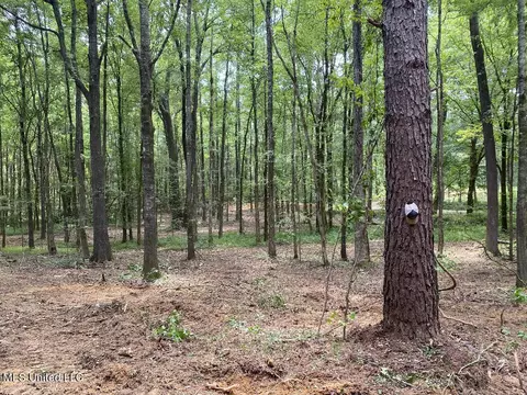 Tate Marshall Road, Coldwater, MS 38618 photo 15