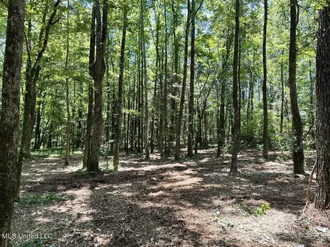 Tate Marshall Road, Coldwater, MS 38618 photo 7