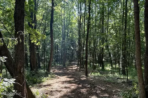 Tate Marshall Road, Coldwater, MS 38618 photo 5