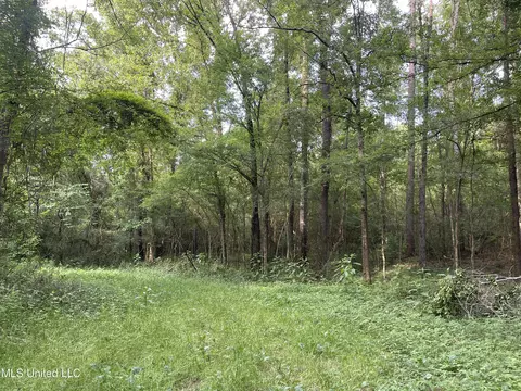 Zero County Line Road, Carthage, MS 39051 photo 7