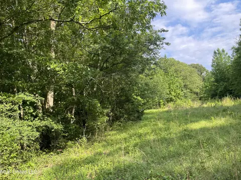 Zero County Line Road, Carthage, MS 39051 photo 12