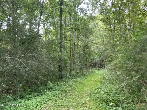 Zero County Line Road, Carthage, MS 39051 photo 15