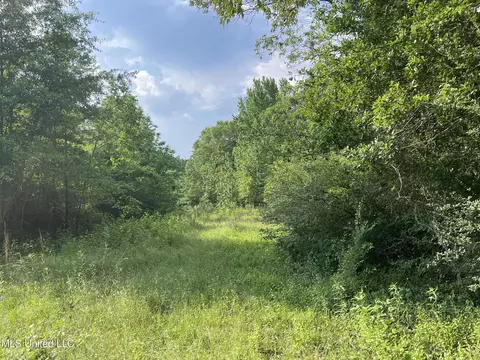 Zero County Line Road, Carthage, MS 39051 photo 14