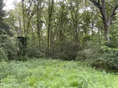 Zero County Line Road, Carthage, MS 39051 photo 16