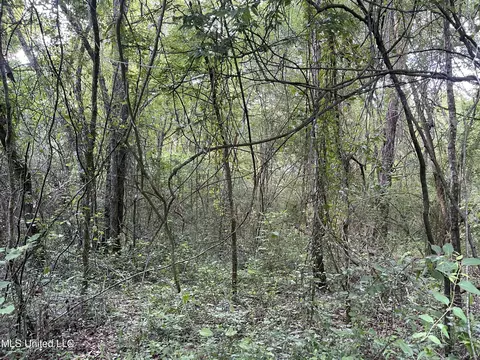 Zero County Line Road, Carthage, MS 39051 photo 9