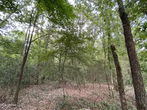 Zero County Line Road, Carthage, MS 39051 photo 6